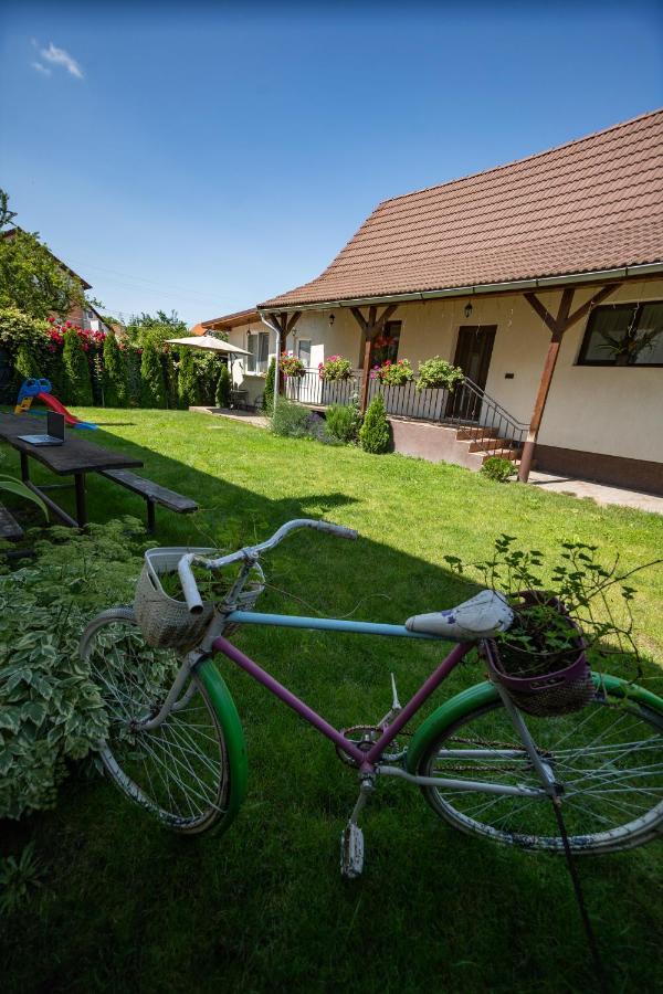 Siebenbuerger Haus Villa Sibiu Buitenkant foto